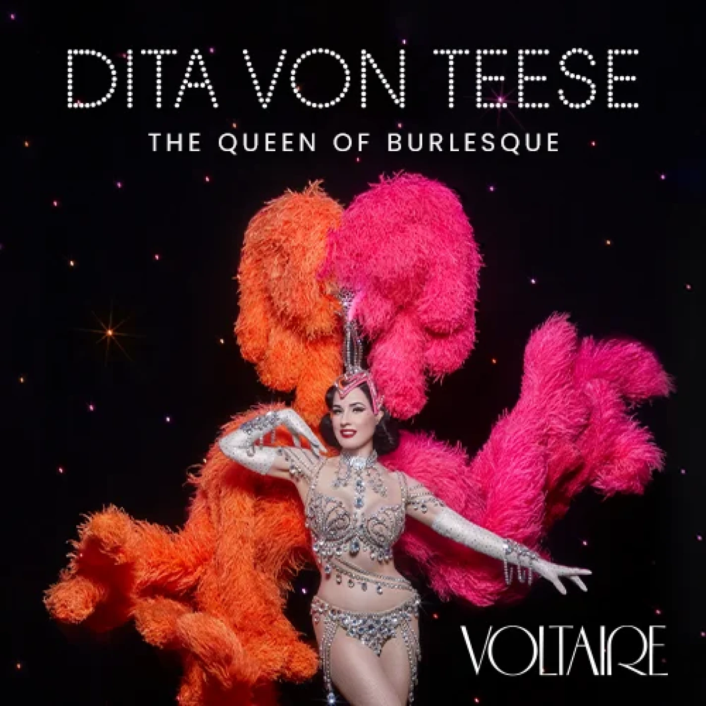 Dita Von Teese