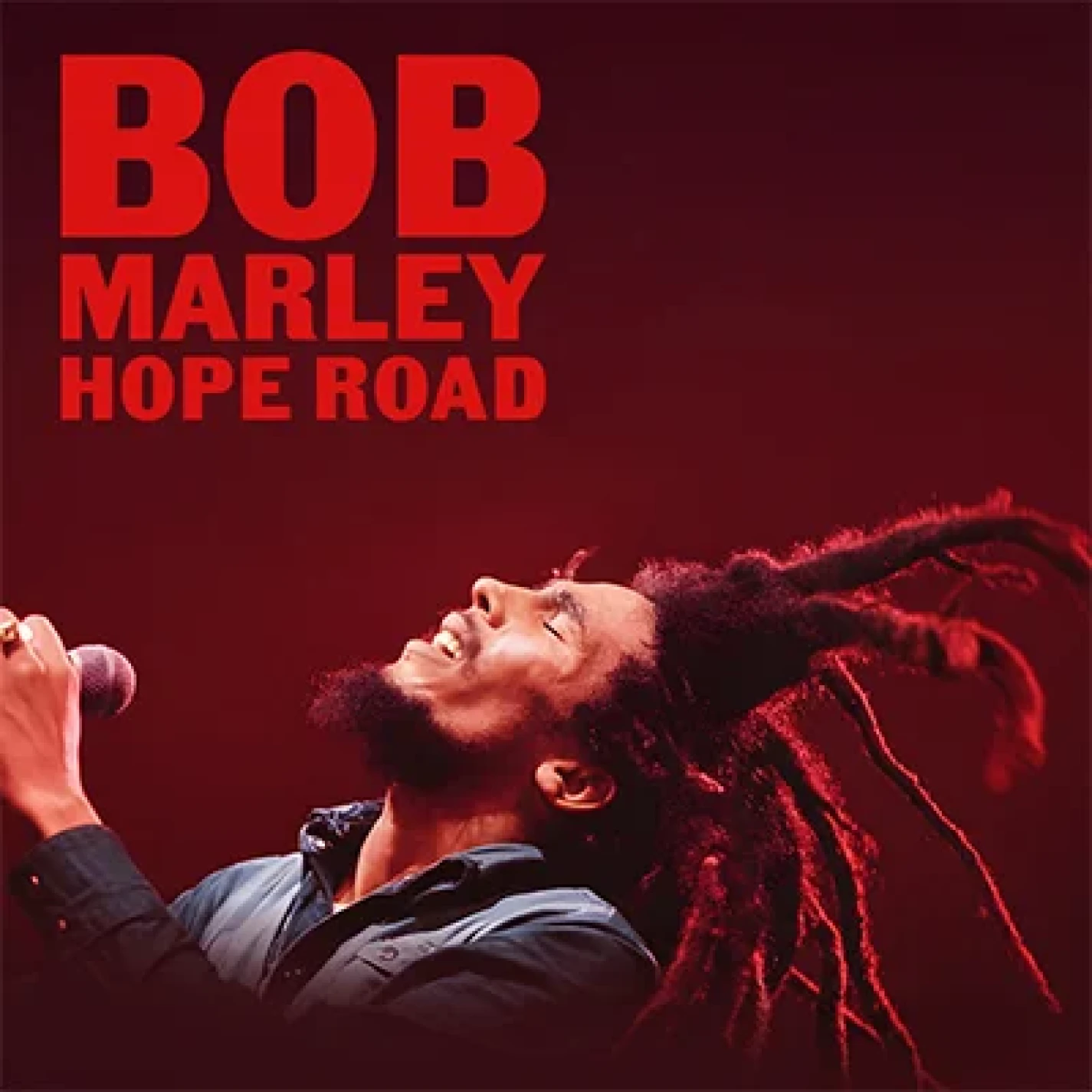 Bob Marley Hope Road: The Show