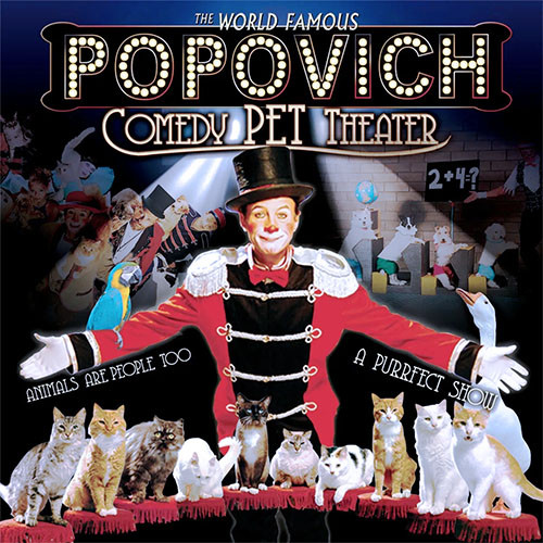 Popovich Comedy Pet Theater