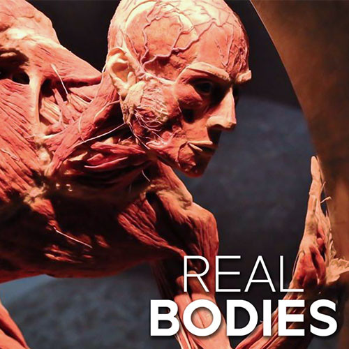 Real Bodies