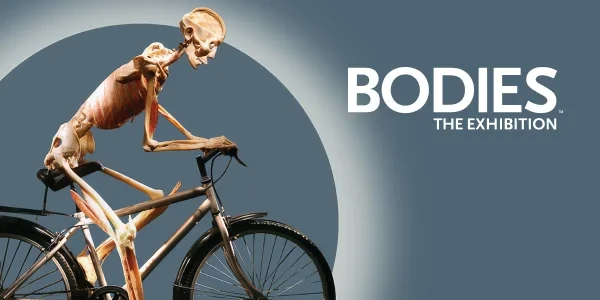 Bodies: The Exhibition