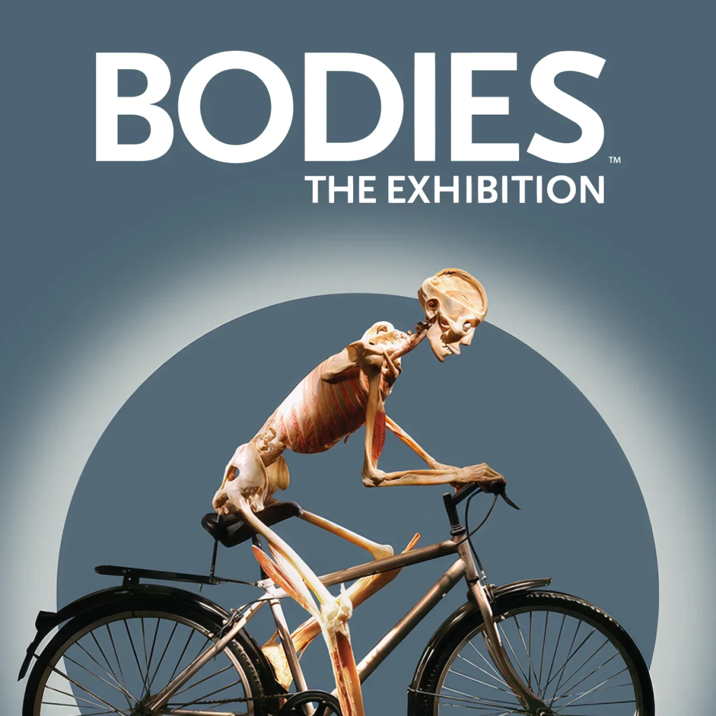 Bodies: The Exhibition