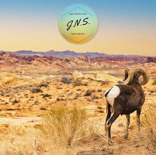 JNS Tours - Valley of Fire